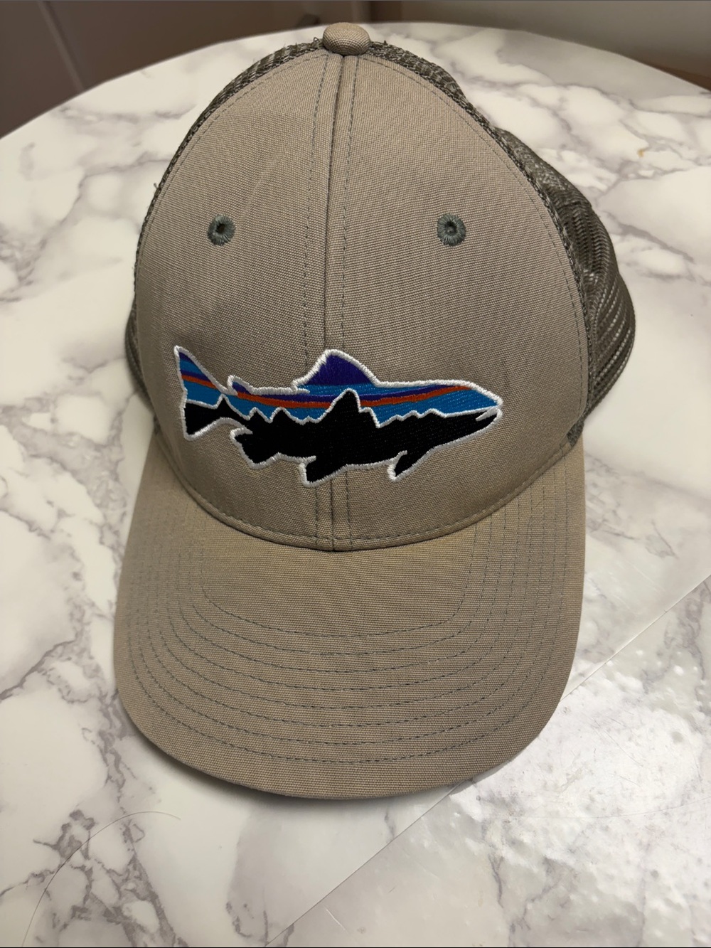 Patagonia Men’s hat